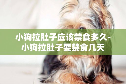 小狗拉肚子應該禁食多久-小狗拉肚子要禁食幾天