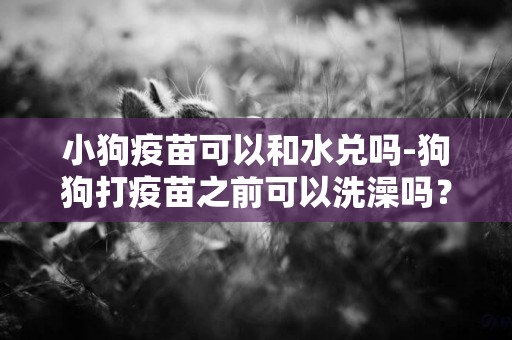 小狗疫苗可以和水兌嗎-狗狗打疫苗之前可以洗澡嗎？？