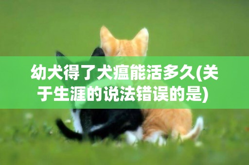 幼犬得了犬瘟能活多久(關于生涯的說法錯誤的是) 
