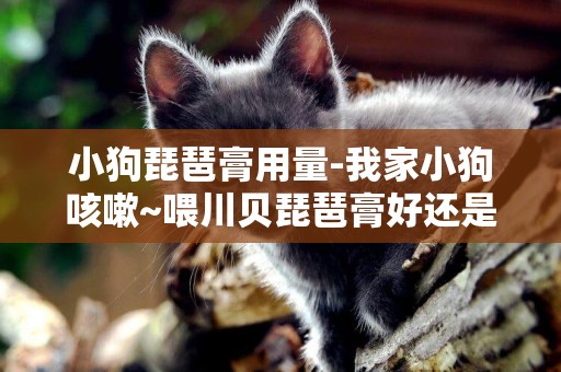 小狗琵琶膏用量-我家小狗咳嗽~喂川貝琵琶膏好還是急支糖漿好??