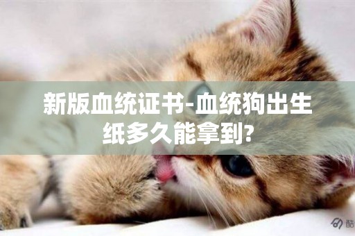 新版血統證書-血統狗出生紙多久能拿到?