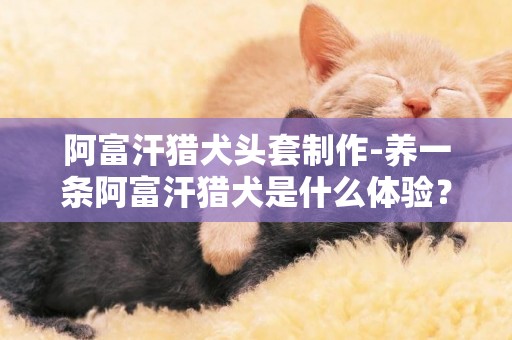 阿富汗獵犬頭套制作-養一條阿富汗獵犬是什么體驗？