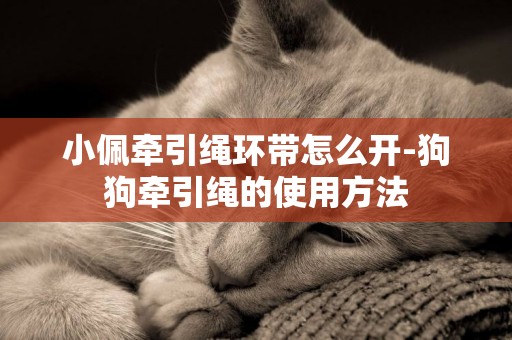 小佩牽引繩環帶怎么開-狗狗牽引繩的使用方法