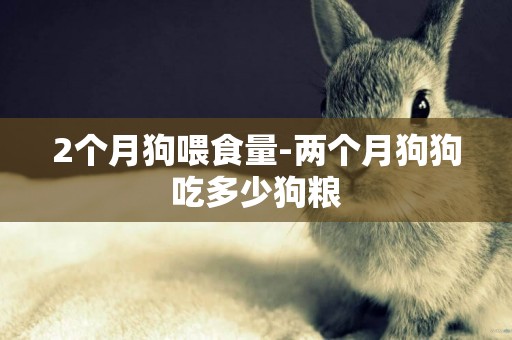 2個月狗喂食量-兩個月狗狗吃多少狗糧