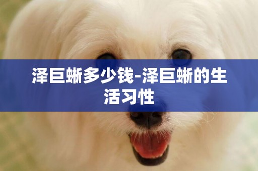 澤巨蜥多少錢-澤巨蜥的生活習性