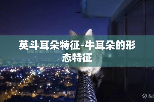 英斗耳朵特征-牛耳朵的形態特征
