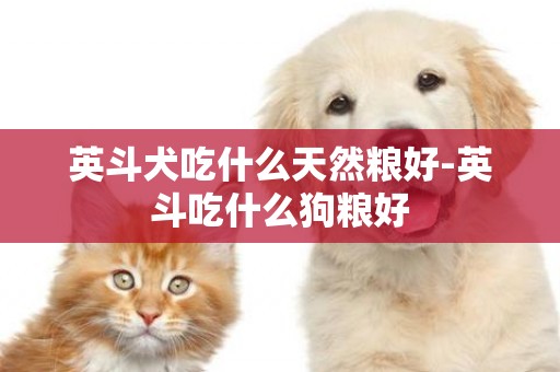 英斗犬吃什么天然糧好-英斗吃什么狗糧好