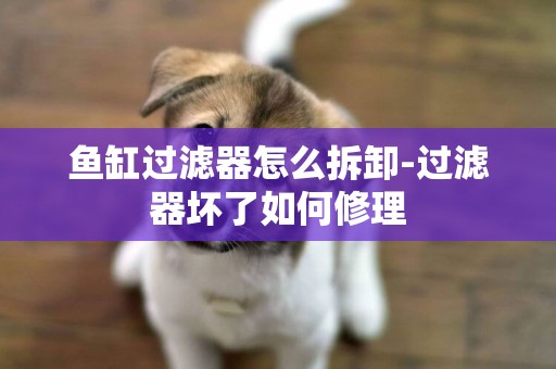 魚缸過濾器怎么拆卸-過濾器壞了如何修理
