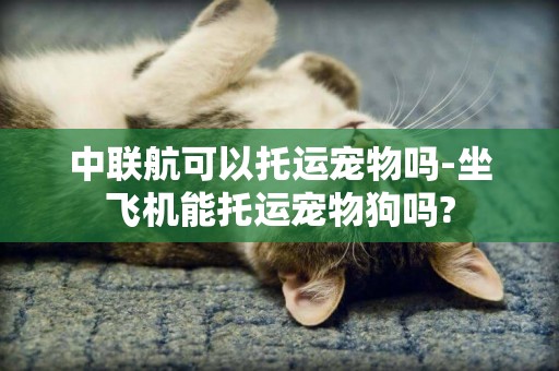 中聯航可以托運寵物嗎-坐飛機能托運寵物狗嗎?