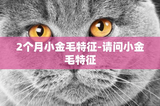 2個月小金毛特征-請問小金毛特征