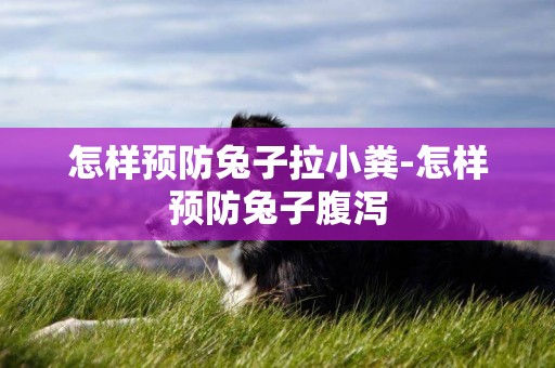 怎樣預防兔子拉小糞-怎樣預防兔子腹瀉