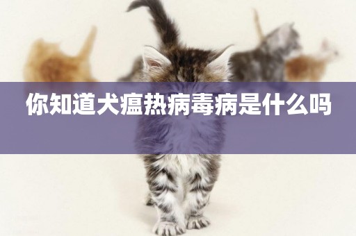 你知道犬瘟熱病毒病是什么嗎 