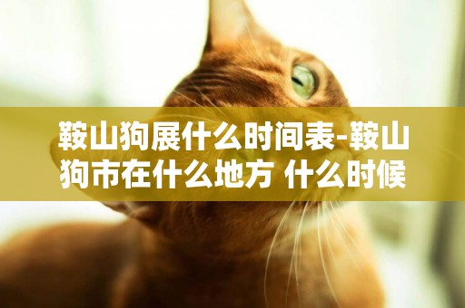 鞍山狗展什么時間表-鞍山狗市在什么地方 什么時候有集 怎么去