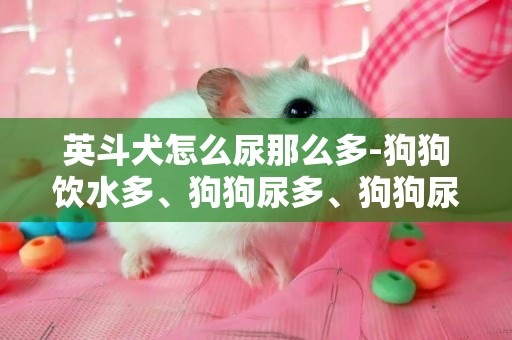 英斗犬怎么尿那么多-狗狗飲水多、狗狗尿多、狗狗尿特別多怎么辦