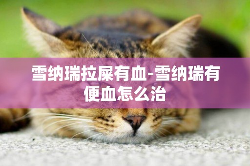 雪納瑞拉屎有血-雪納瑞有便血怎么治