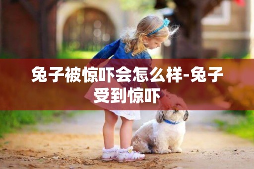兔子被驚嚇會怎么樣-兔子受到驚嚇