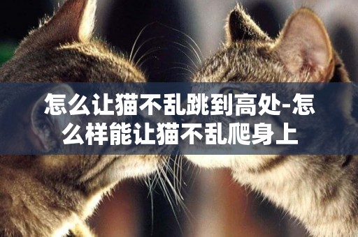 怎么讓貓不亂跳到高處-怎么樣能讓貓不亂爬身上