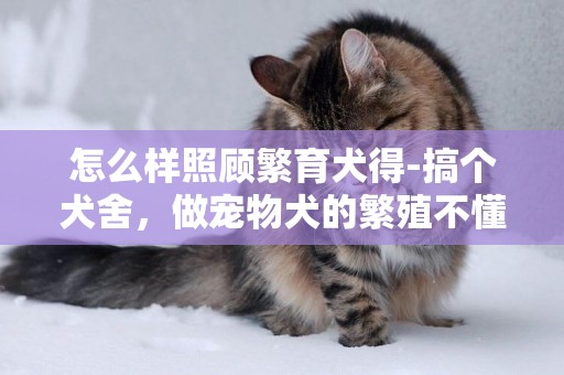 怎么樣照顧繁育犬得-搞個犬舍，做寵物犬的繁殖不懂怎么樣