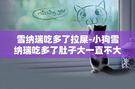 雪納瑞吃多了拉屎-小狗雪納瑞吃多了肚子大一直不大便怎么辦