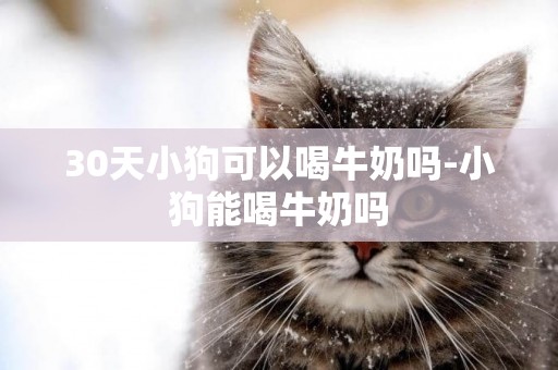 30天小狗可以喝牛奶嗎-小狗能喝牛奶嗎