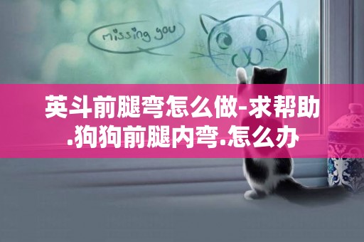 英斗前腿彎怎么做-求幫助.狗狗前腿內彎.怎么辦