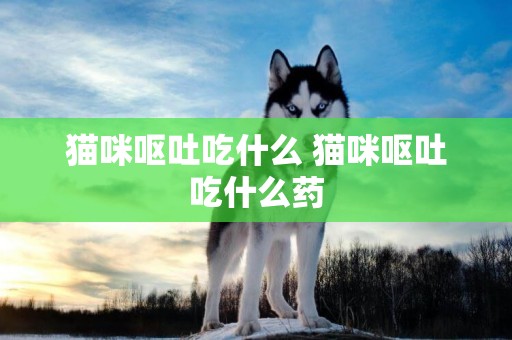 貓咪嘔吐吃什么 貓咪嘔吐吃什么藥