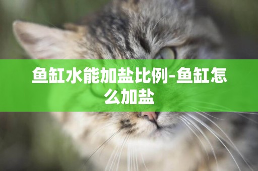 魚缸水能加鹽比例-魚缸怎么加鹽