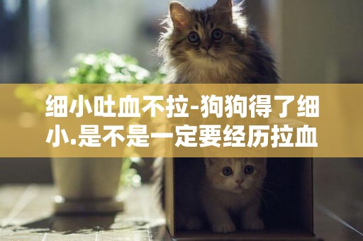 細小吐血不拉-狗狗得了細小.是不是一定要經歷拉血和吐血？
