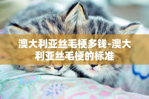 澳大利亞絲毛梗多錢-澳大利亞絲毛梗的標準