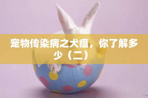 寵物傳染病之犬瘟，你了解多少（二） 