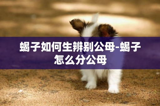 蝎子如何生辨別公母-蝎子怎么分公母