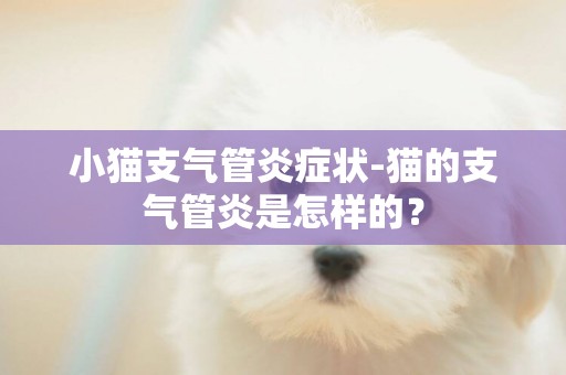 小貓支氣管炎癥狀-貓的支氣管炎是怎樣的？