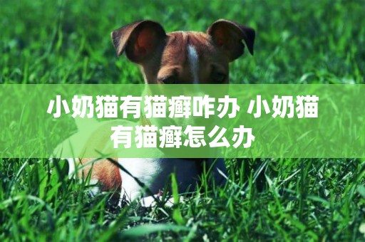 小奶貓有貓癬咋辦 小奶貓有貓癬怎么辦