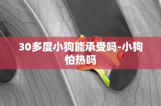 30多度小狗能承受嗎-小狗怕熱嗎