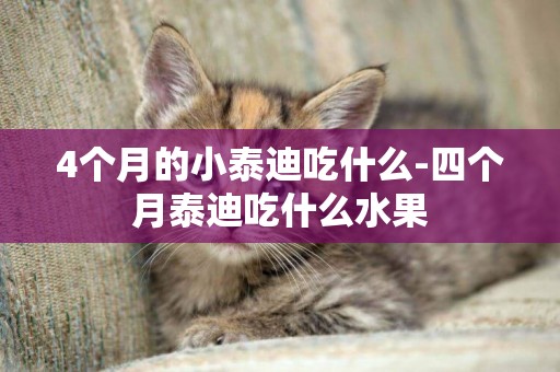 4個月的小泰迪吃什么-四個月泰迪吃什么水果