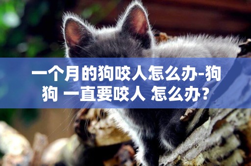 一個月的狗咬人怎么辦-狗狗 一直要咬人 怎么辦？