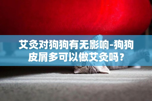 艾灸對狗狗有無影響-狗狗皮屑多可以做艾灸嗎？