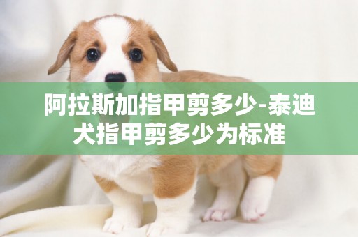 阿拉斯加指甲剪多少-泰迪犬指甲剪多少為標準