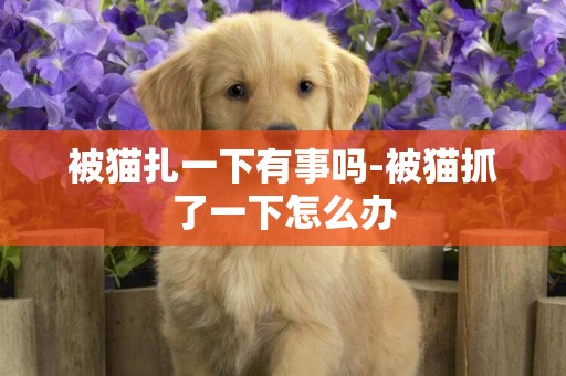 被貓扎一下有事嗎-被貓抓了一下怎么辦