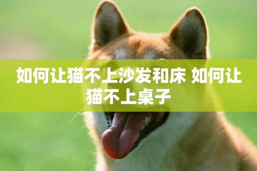如何讓貓不上沙發和床 如何讓貓不上桌子