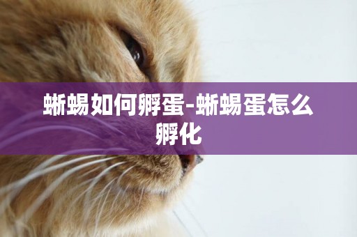 蜥蜴如何孵蛋-蜥蜴蛋怎么孵化