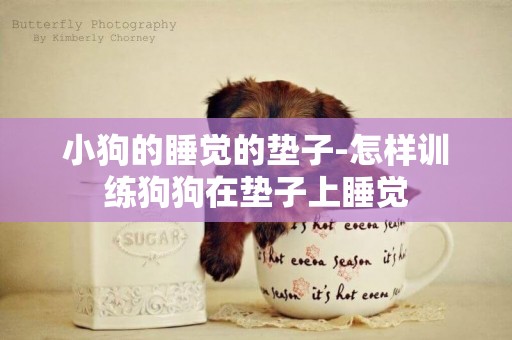 小狗的睡覺的墊子-怎樣訓練狗狗在墊子上睡覺