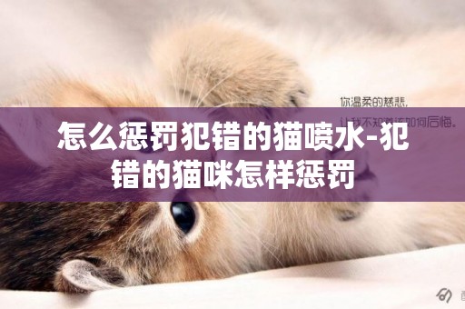 怎么懲罰犯錯的貓噴水-犯錯的貓咪怎樣懲罰