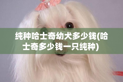 純種哈士奇幼犬多少錢(哈士奇多少錢一只純種) 