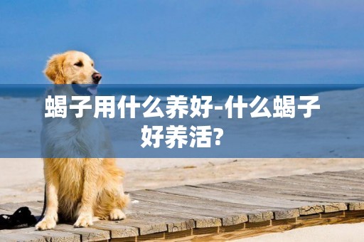 蝎子用什么養好-什么蝎子好養活?