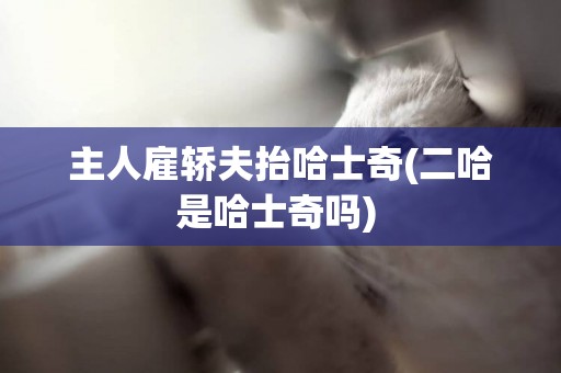 主人雇轎夫抬哈士奇(二哈是哈士奇嗎) 