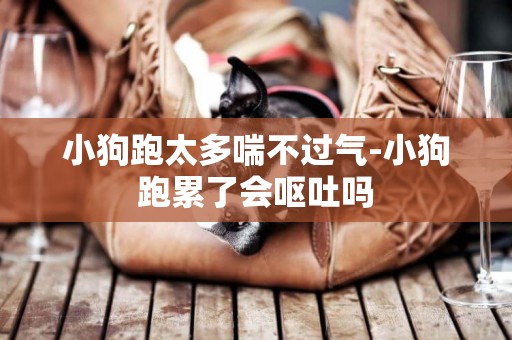 小狗跑太多喘不過氣-小狗跑累了會嘔吐嗎