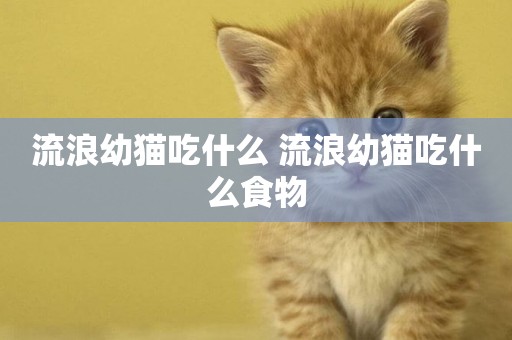 流浪幼貓吃什么 流浪幼貓吃什么食物