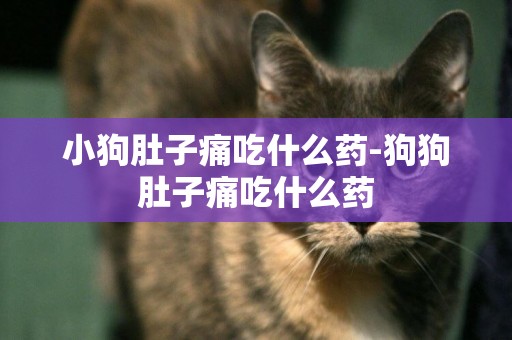 小狗肚子痛吃什么藥-狗狗肚子痛吃什么藥