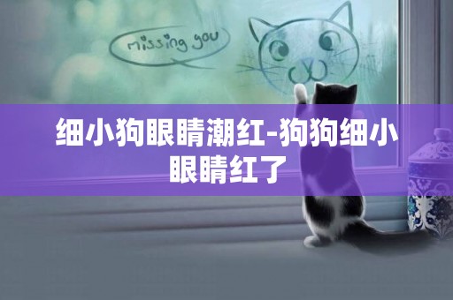 細小狗眼睛潮紅-狗狗細小眼睛紅了